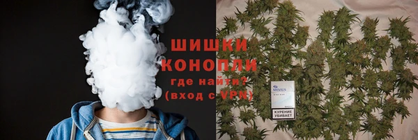прущие крисы Медвежьегорск