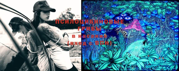 a pvp Медногорск