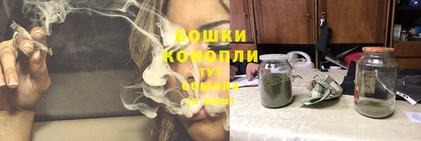 прущие крисы Медвежьегорск