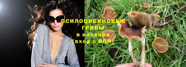 трава Мегион