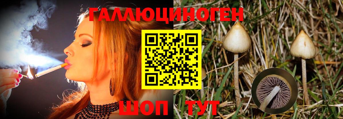 Североморск  Псилоцибиновые грибы GOLDEN TEACHER  Вход с VPN 
