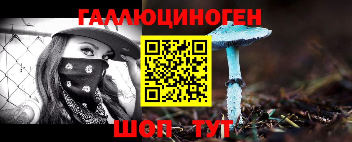 Галлюциногенные грибы прущие грибы Североморск
