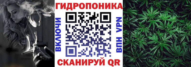 Конопля OG Kush магазин продажи наркотиков Североморск