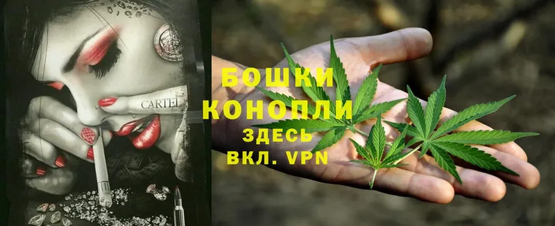 закладка  Североморск  Бошки Шишки White Widow 